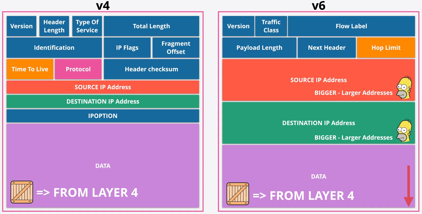 IPv4 and IPv6