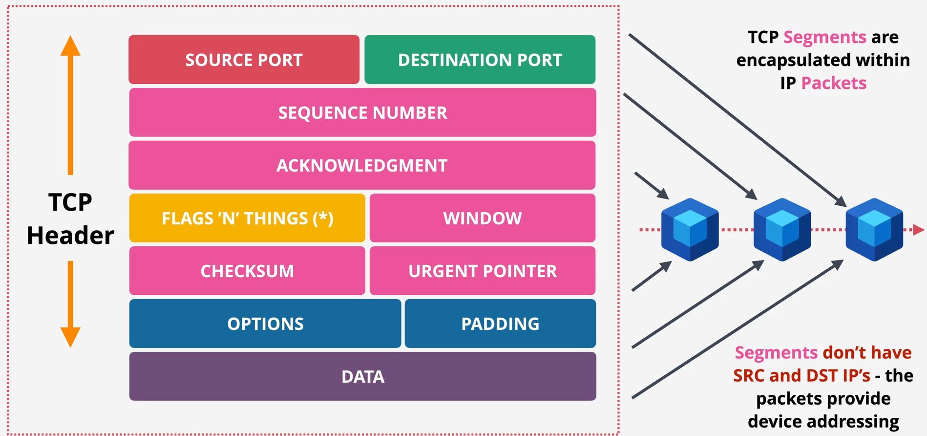 TCP Segments